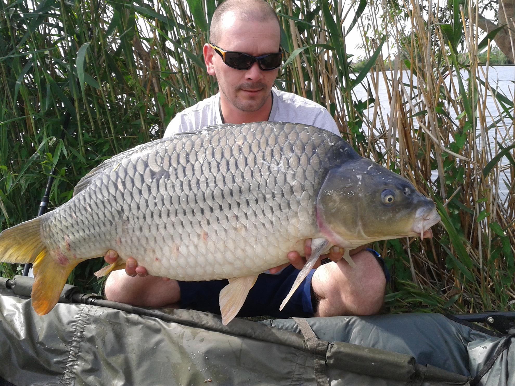 15-17.05.2015 - 20150516152424.jpg